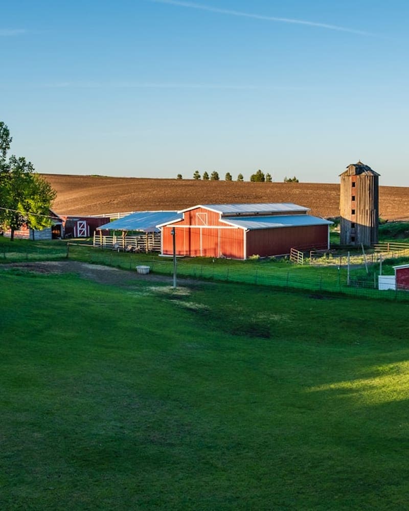 Farmland at golden hour, a red barn and grain silo among rolling green fields